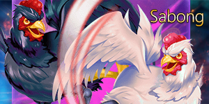 sabong